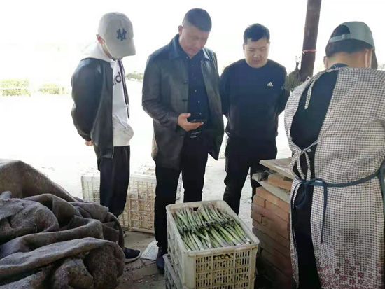 來自河南、山東、新疆的客人在種植園考察