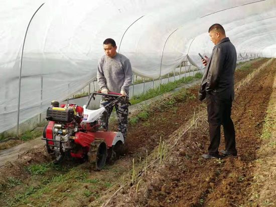 來自河南、山東、新疆的客人在種植園考察