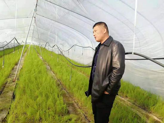 來自河南、山東、新疆的客人在種植園考察