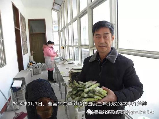 春天，常食蘆筍很保健